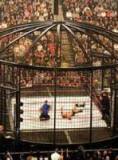 2010铁笼密室淘汰赛(Elimination Chamber)